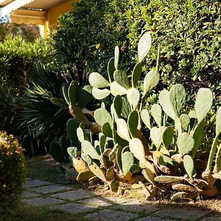 Taggia 6 - Sul Mare Riccione