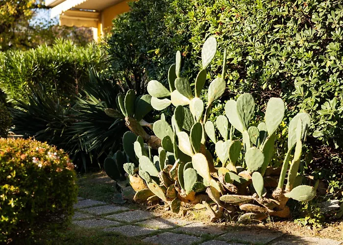 Taggia 6 - Sul Mare Riccione